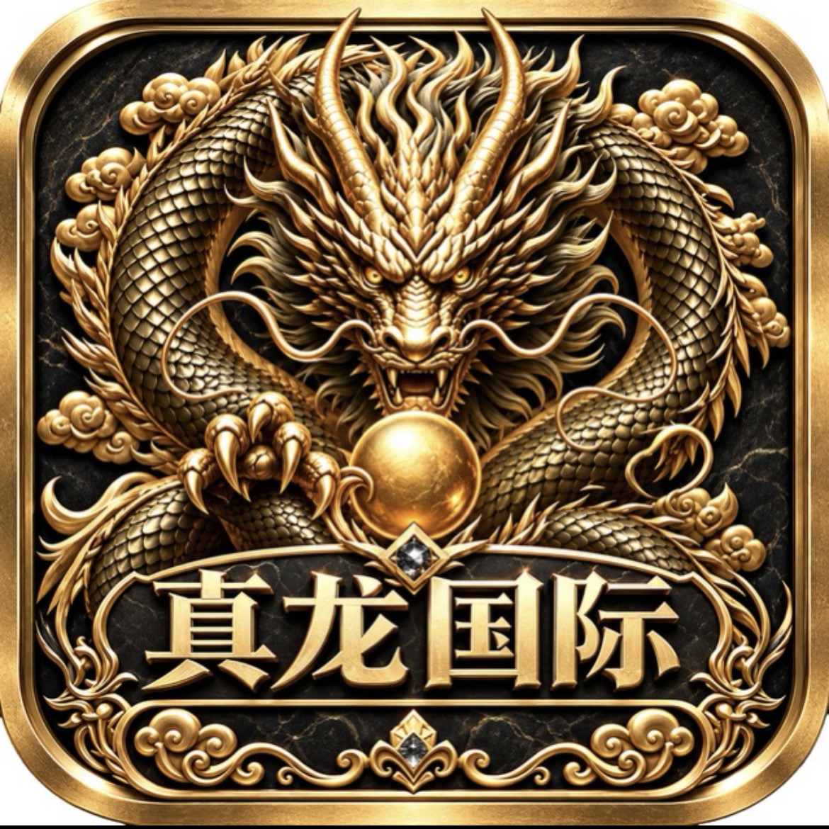 真龙国际